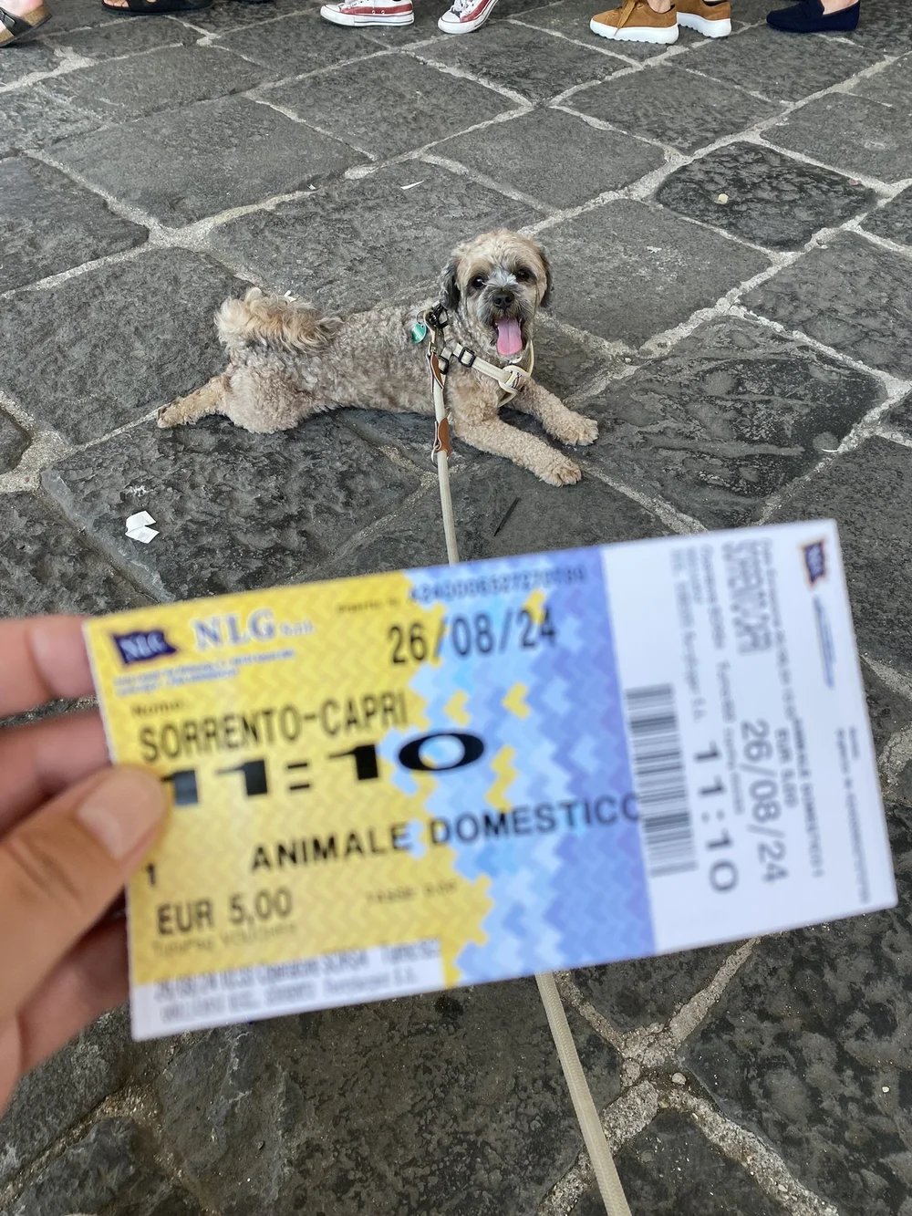 IMG_9702.JPEG