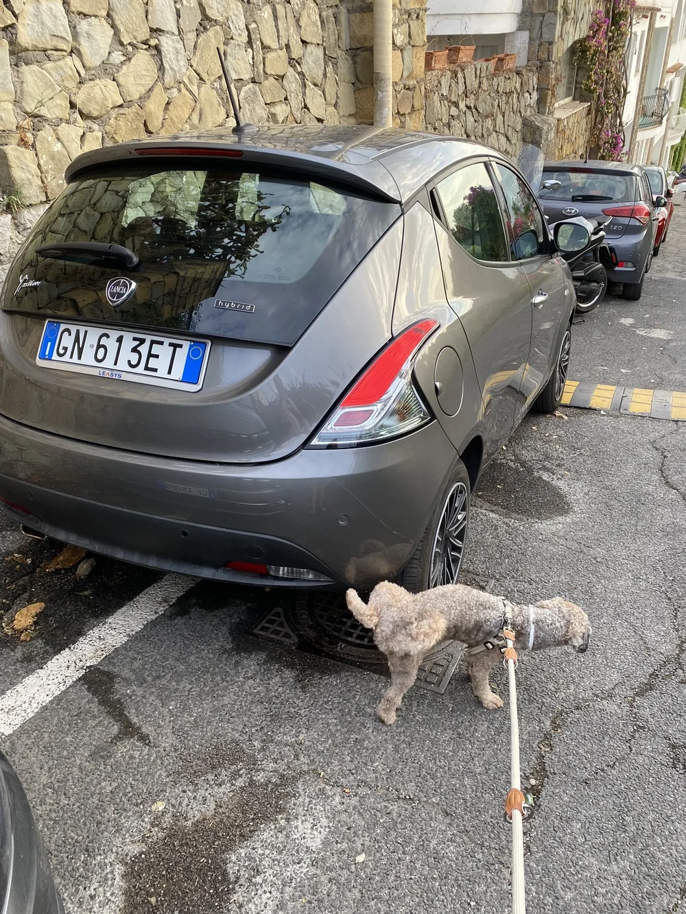 IMG_9467.JPEG