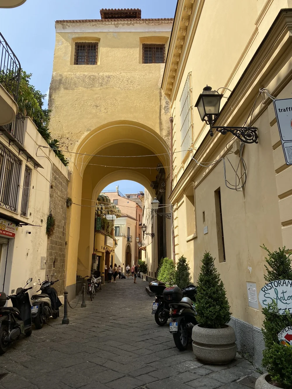 IMG_9519.JPEG