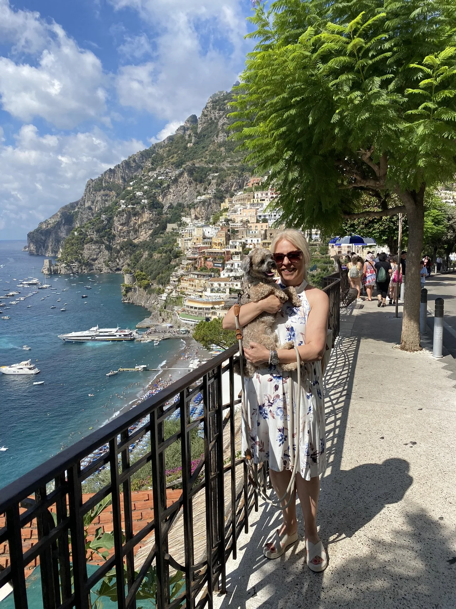 Das Tagebuch von Shipoo Luca 🐾- Reise nach Italien