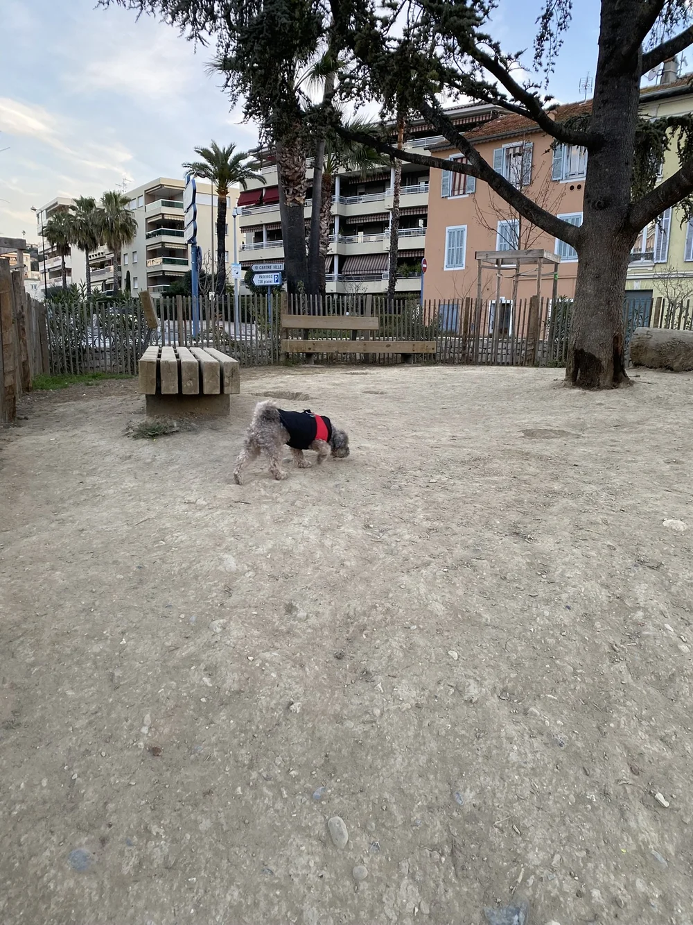 IMG_1210.JPEG