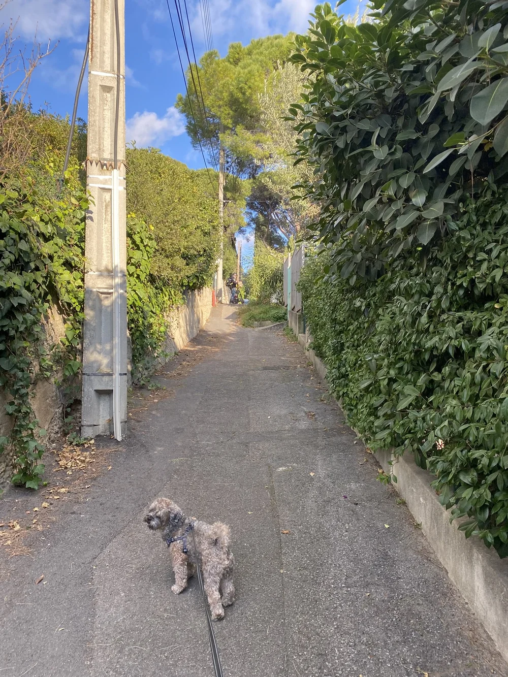 IMG_1052.JPEG