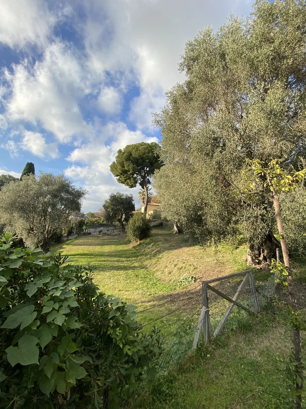 IMG_1059.JPEG