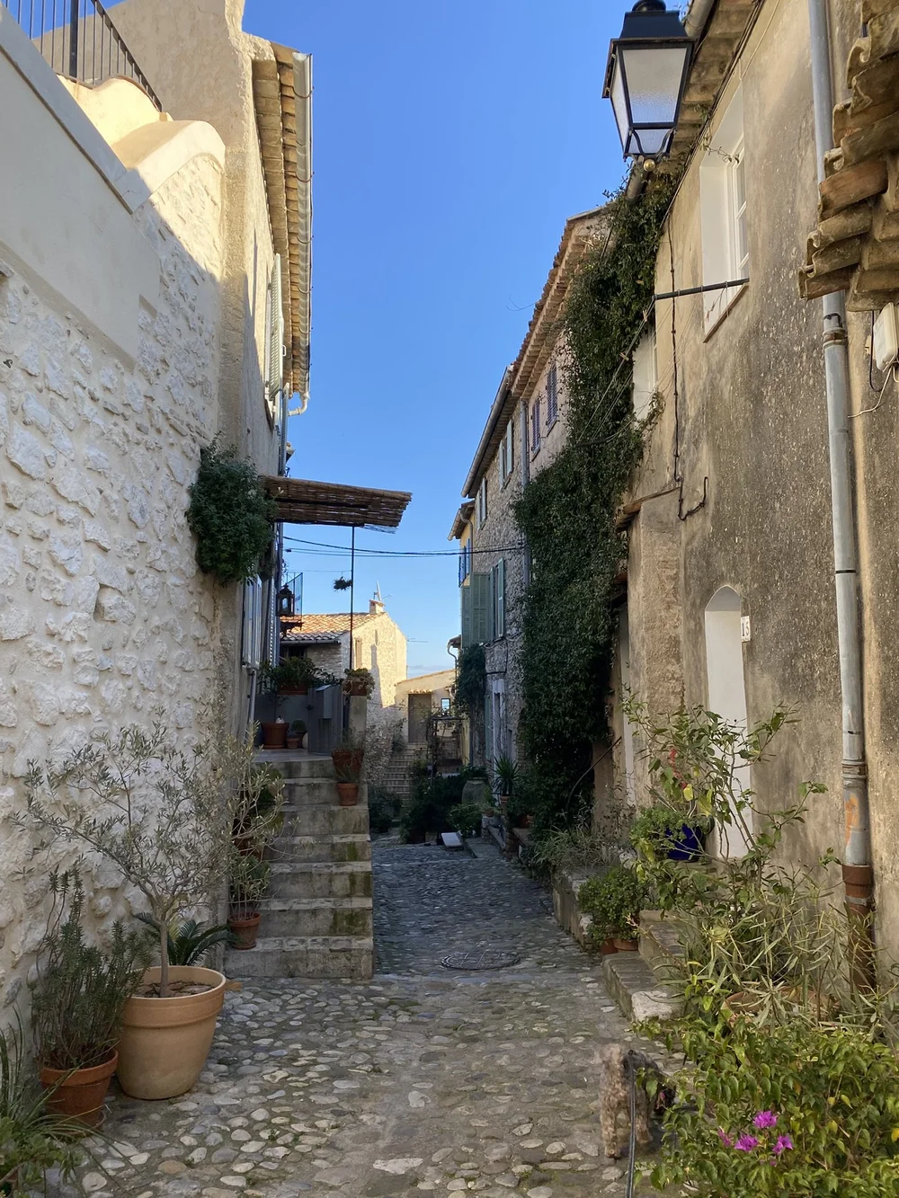 IMG_1082.JPEG