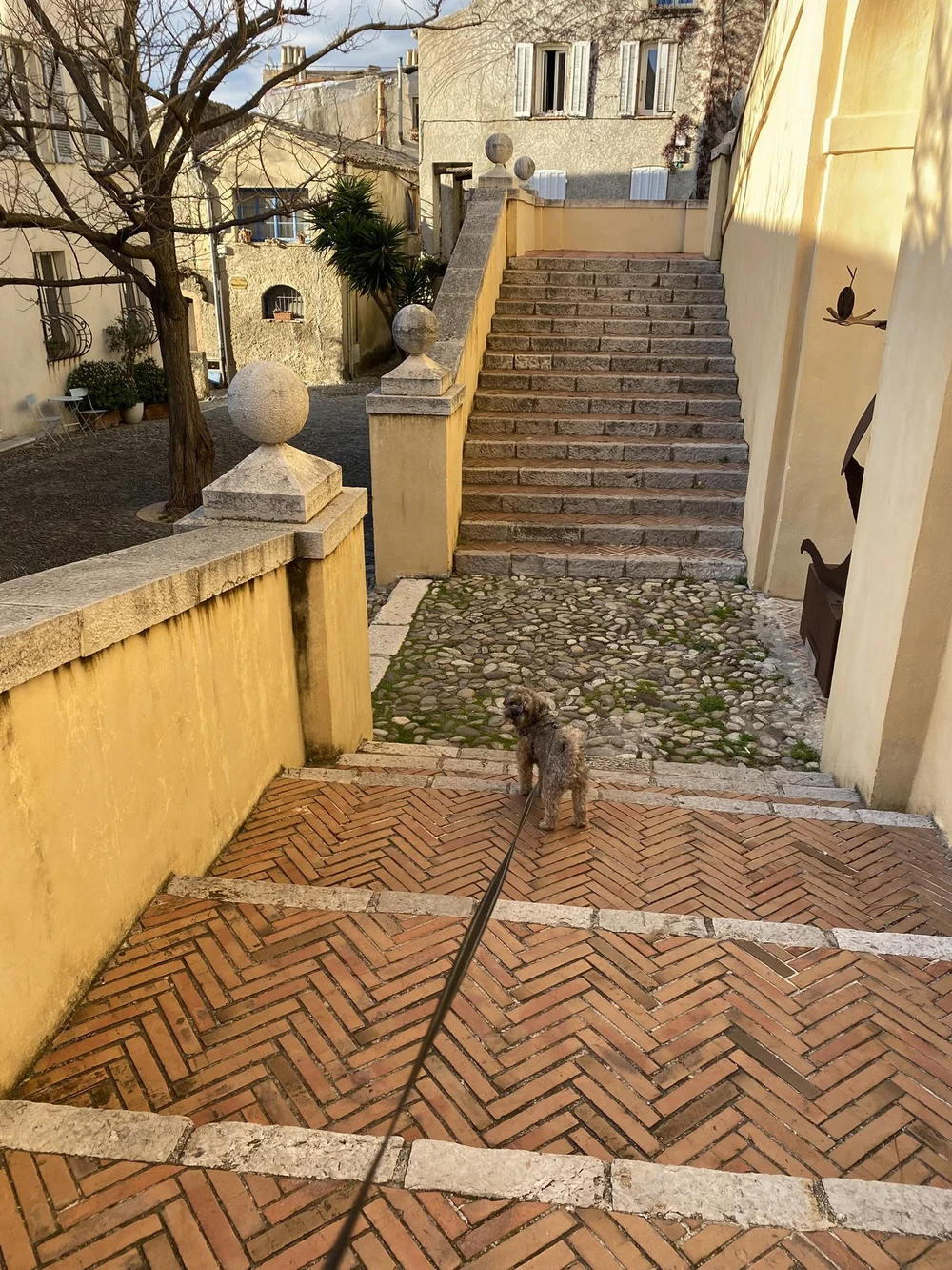 IMG_1110.JPEG