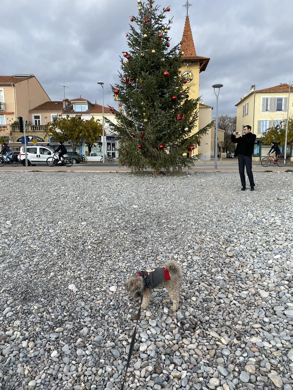 IMG_1188.JPEG