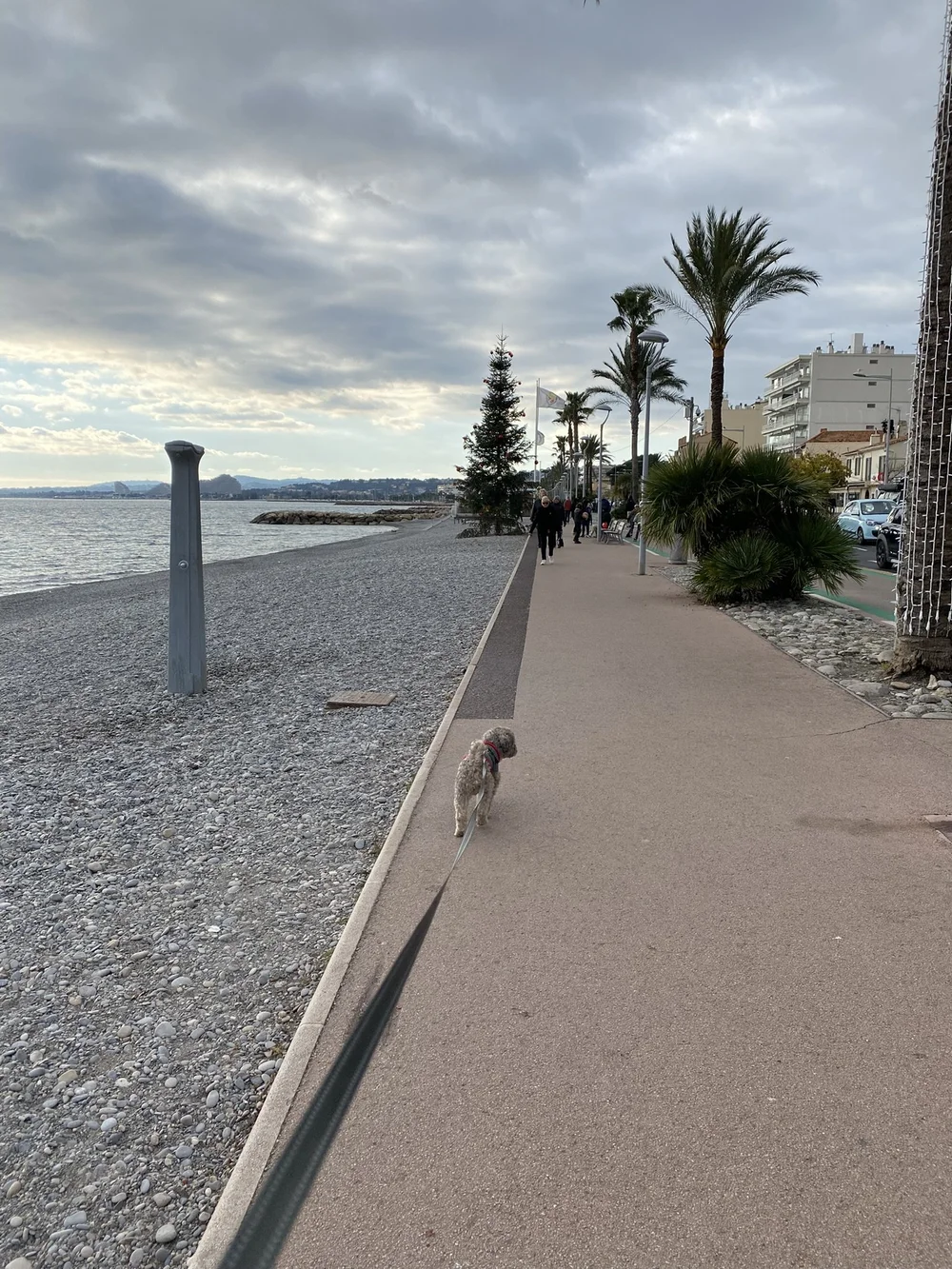 IMG_1193.JPEG