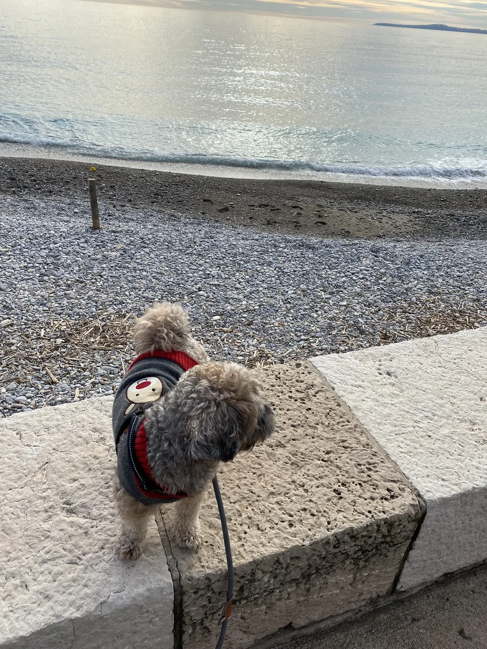 IMG_1233.JPEG
