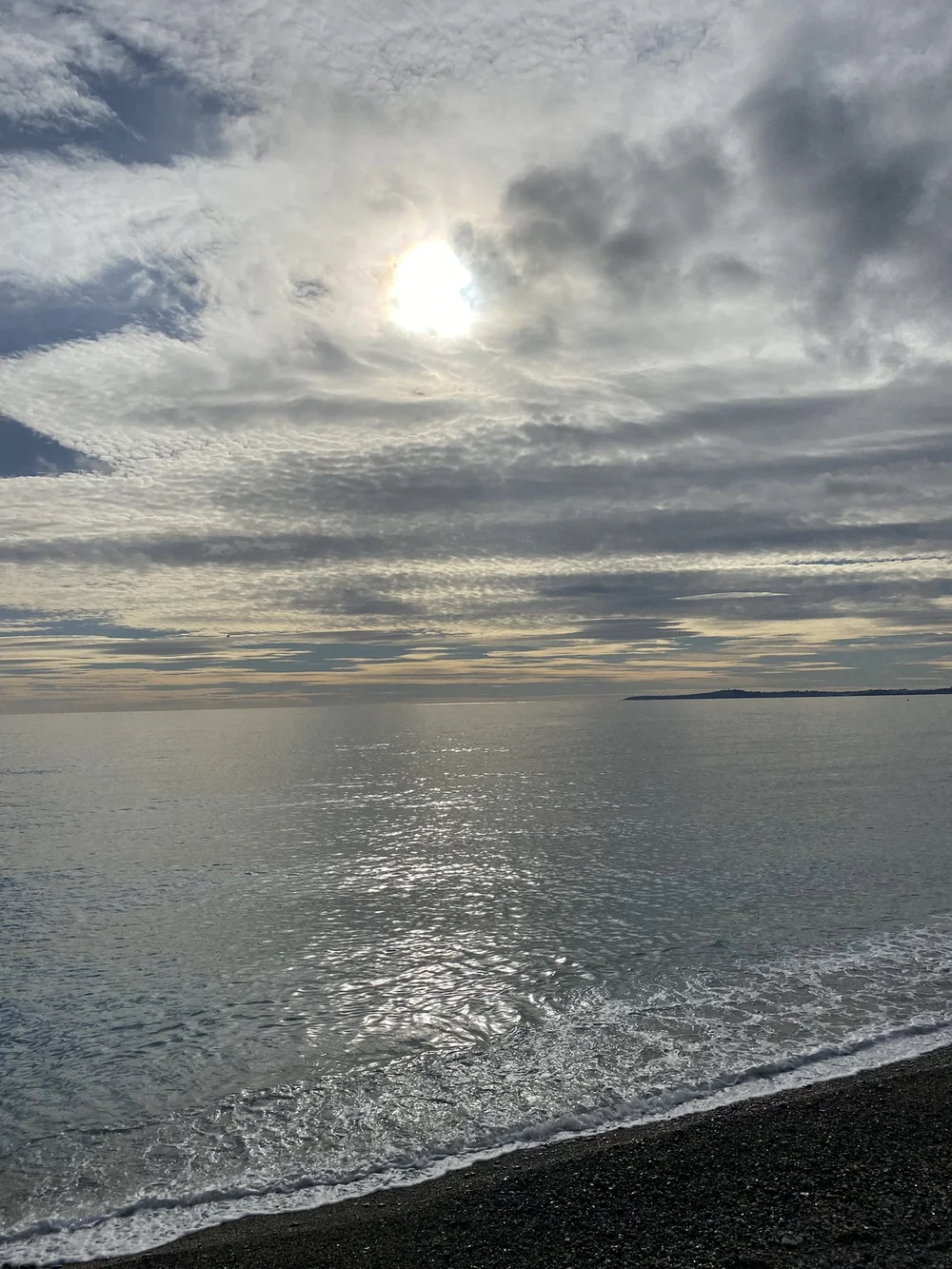 IMG_1236.JPEG