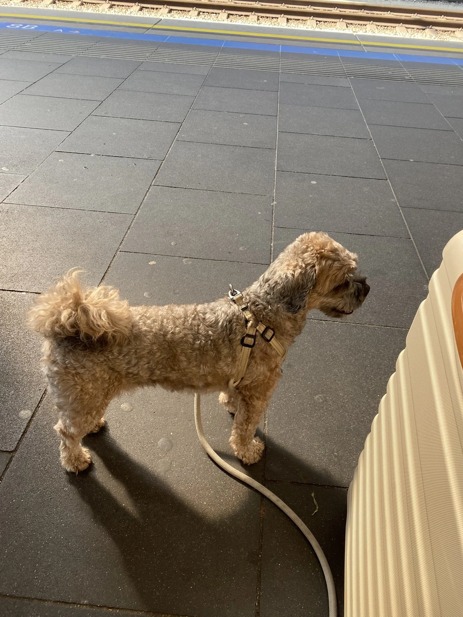 IMG_2288.JPEG