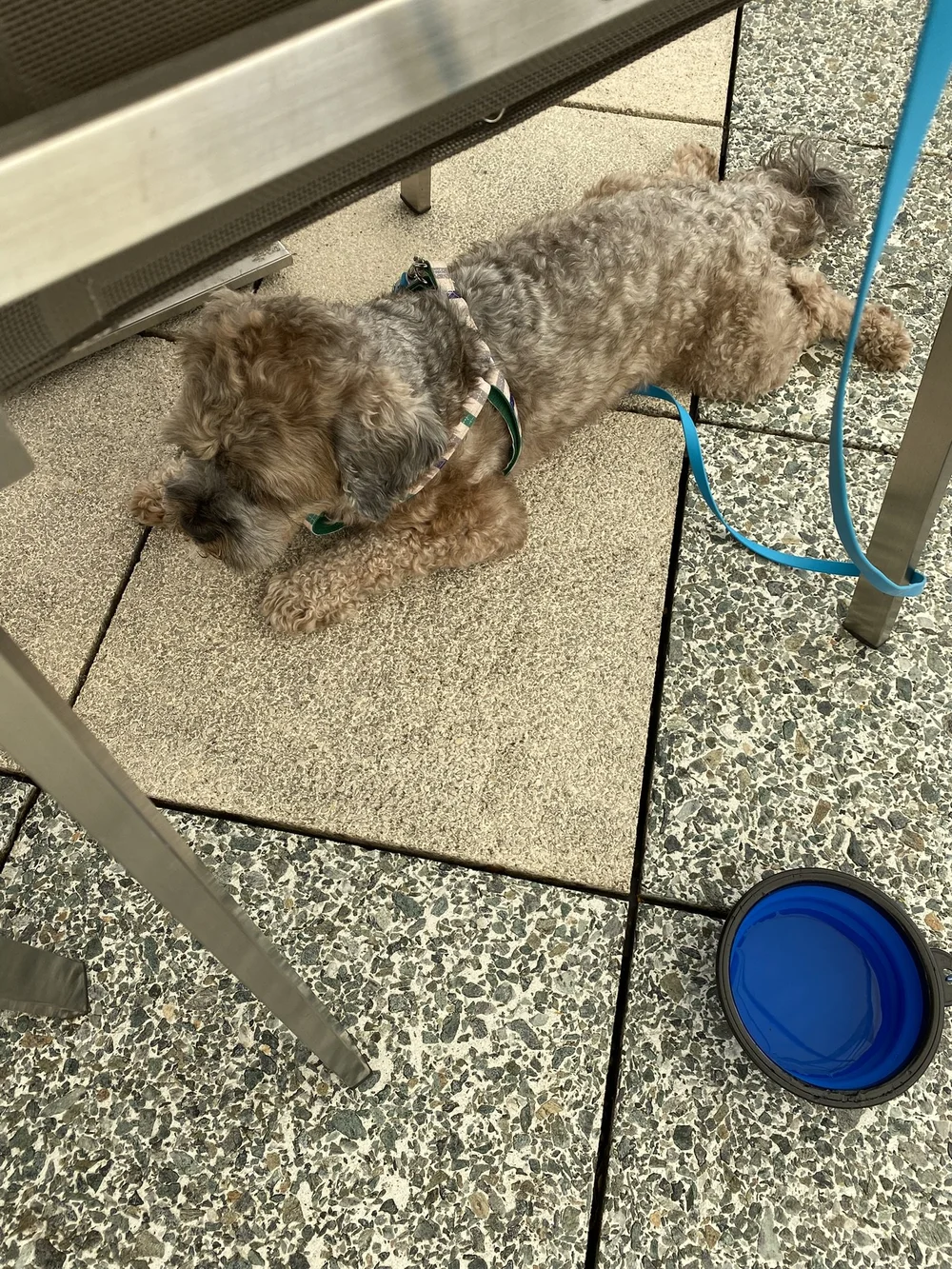 IMG_2330.JPEG