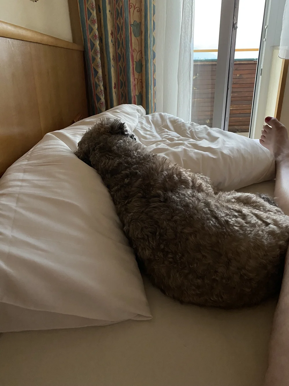 IMG_2372.JPEG