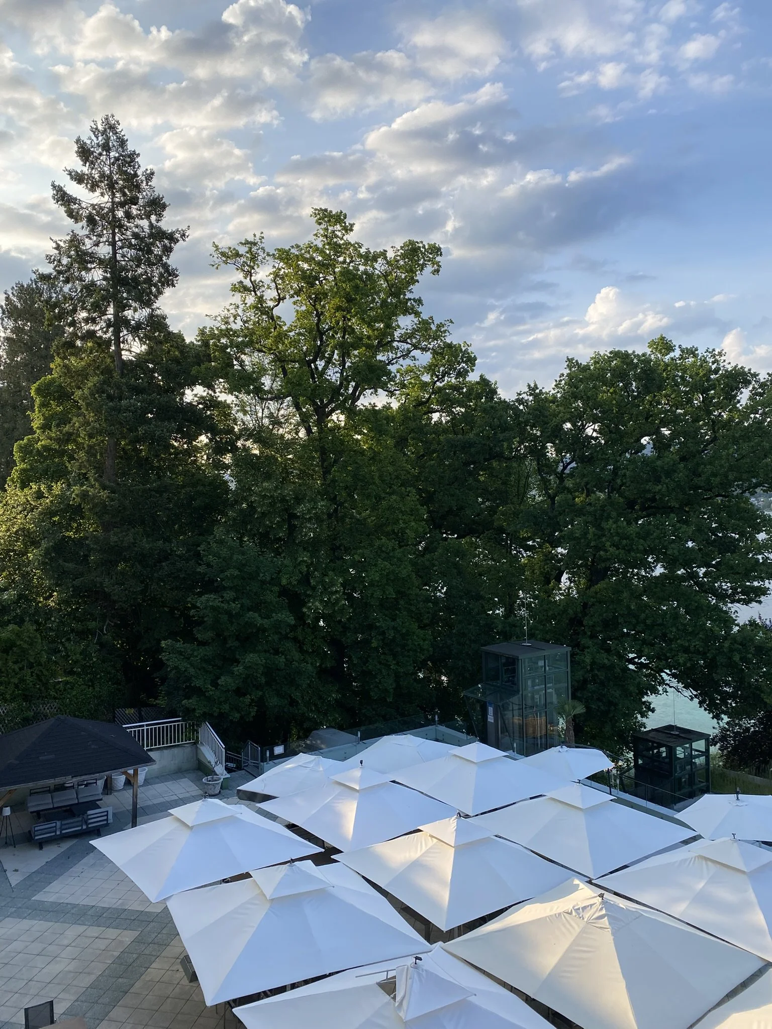 IMG_2378.JPEG