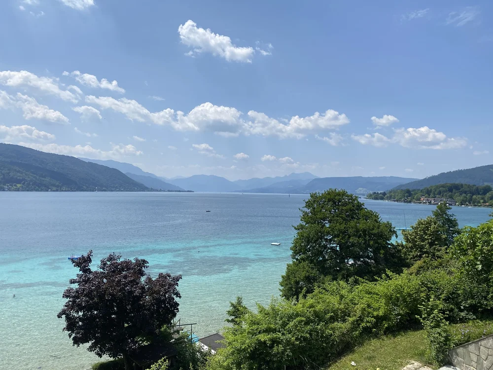 IMG_2308.JPEG