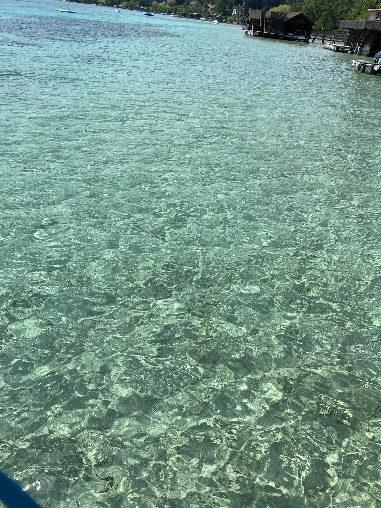 IMG_2319.JPEG