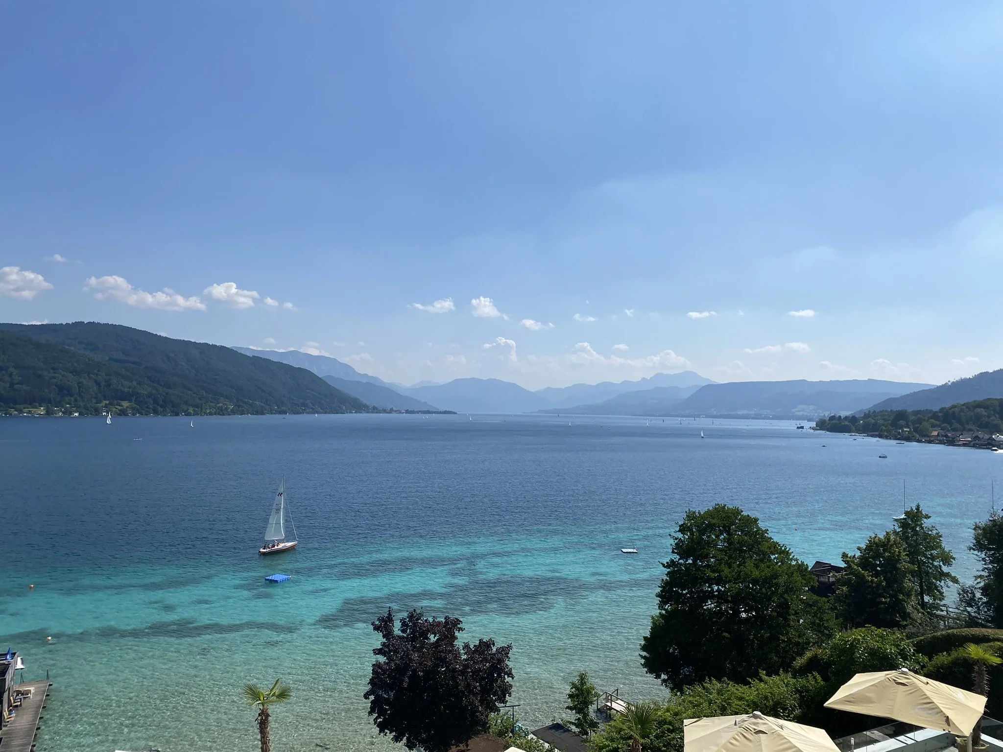 IMG_2334.JPEG
