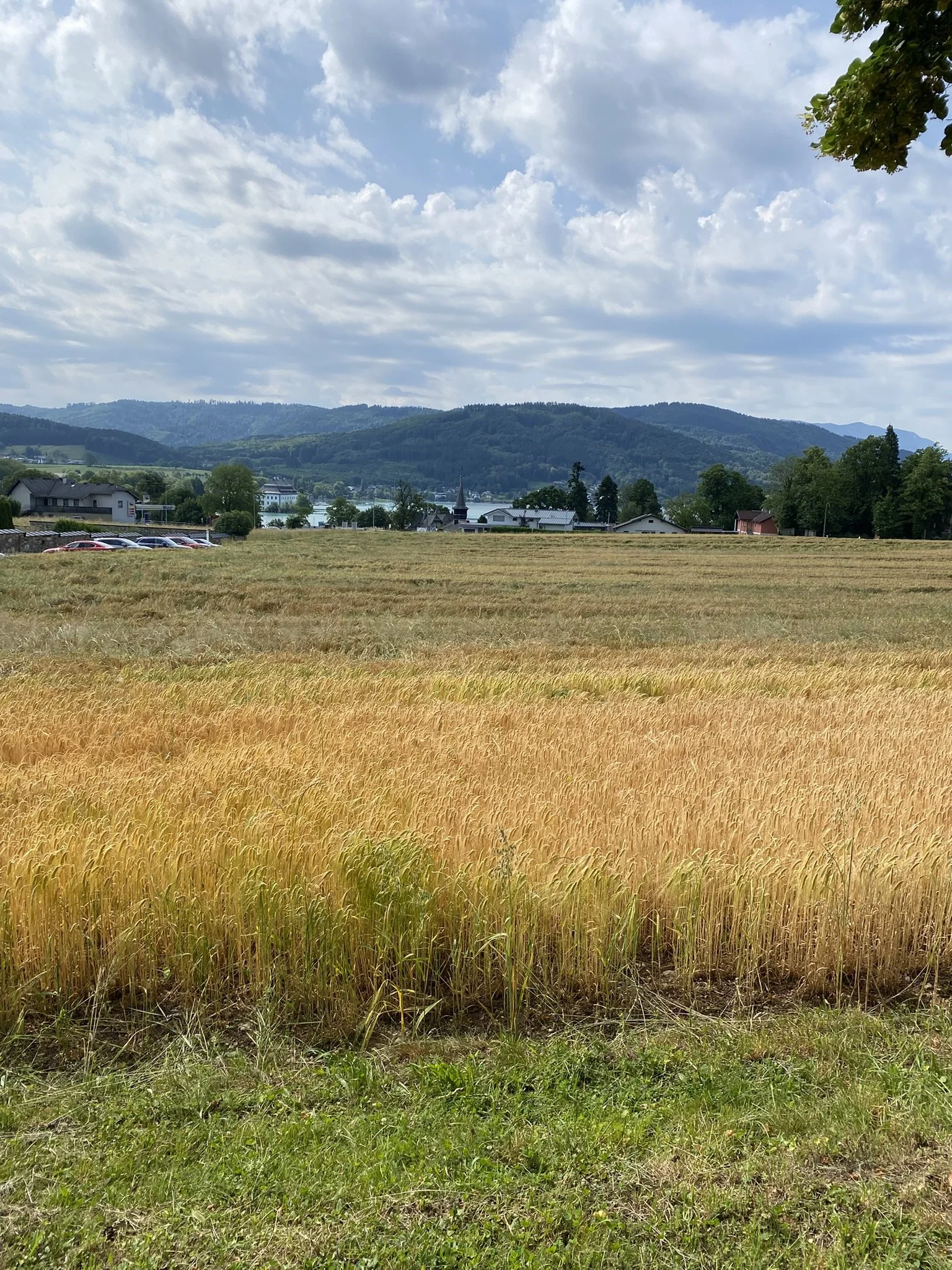 IMG_2392.JPEG