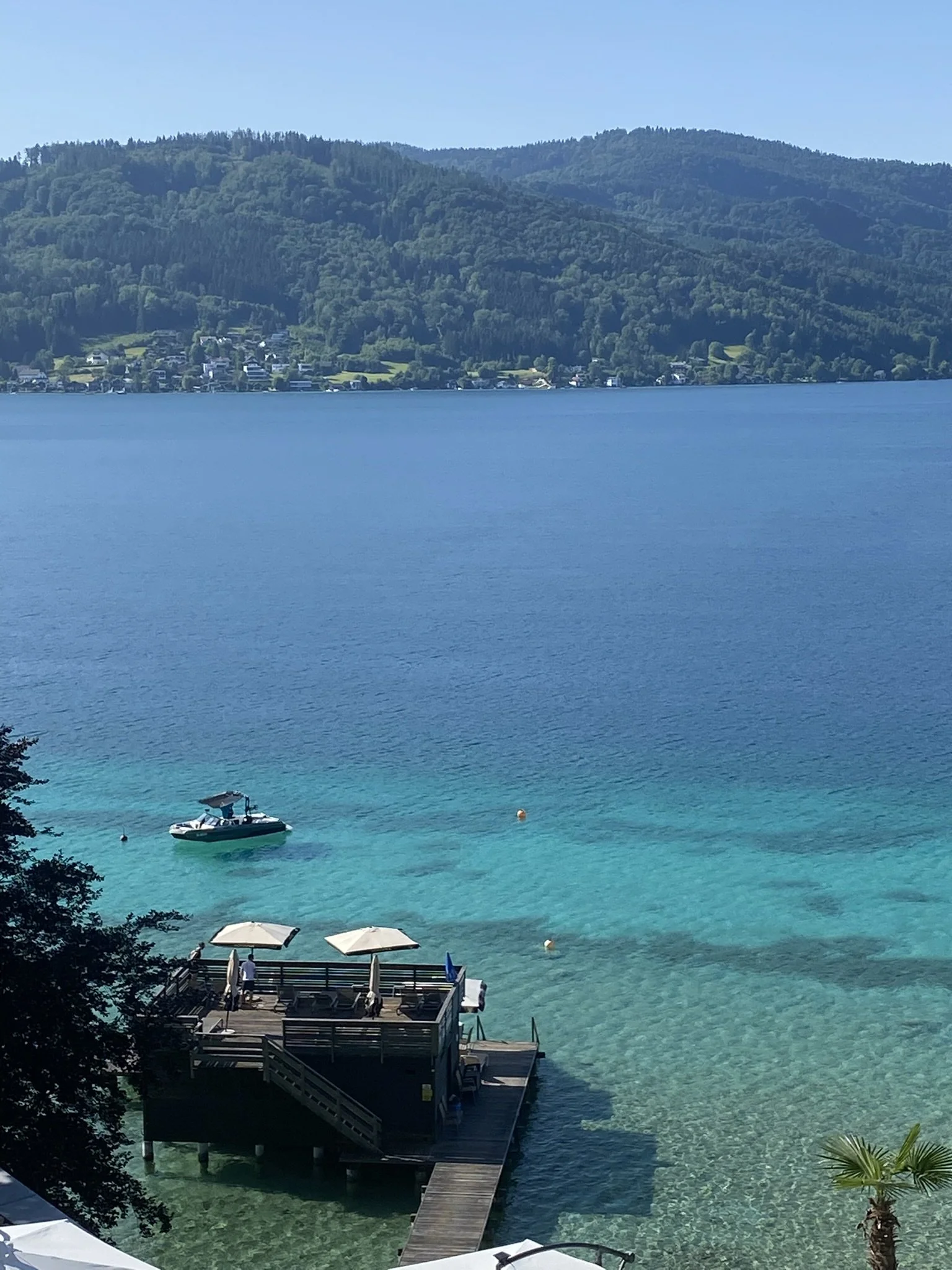 IMG_2478.JPEG