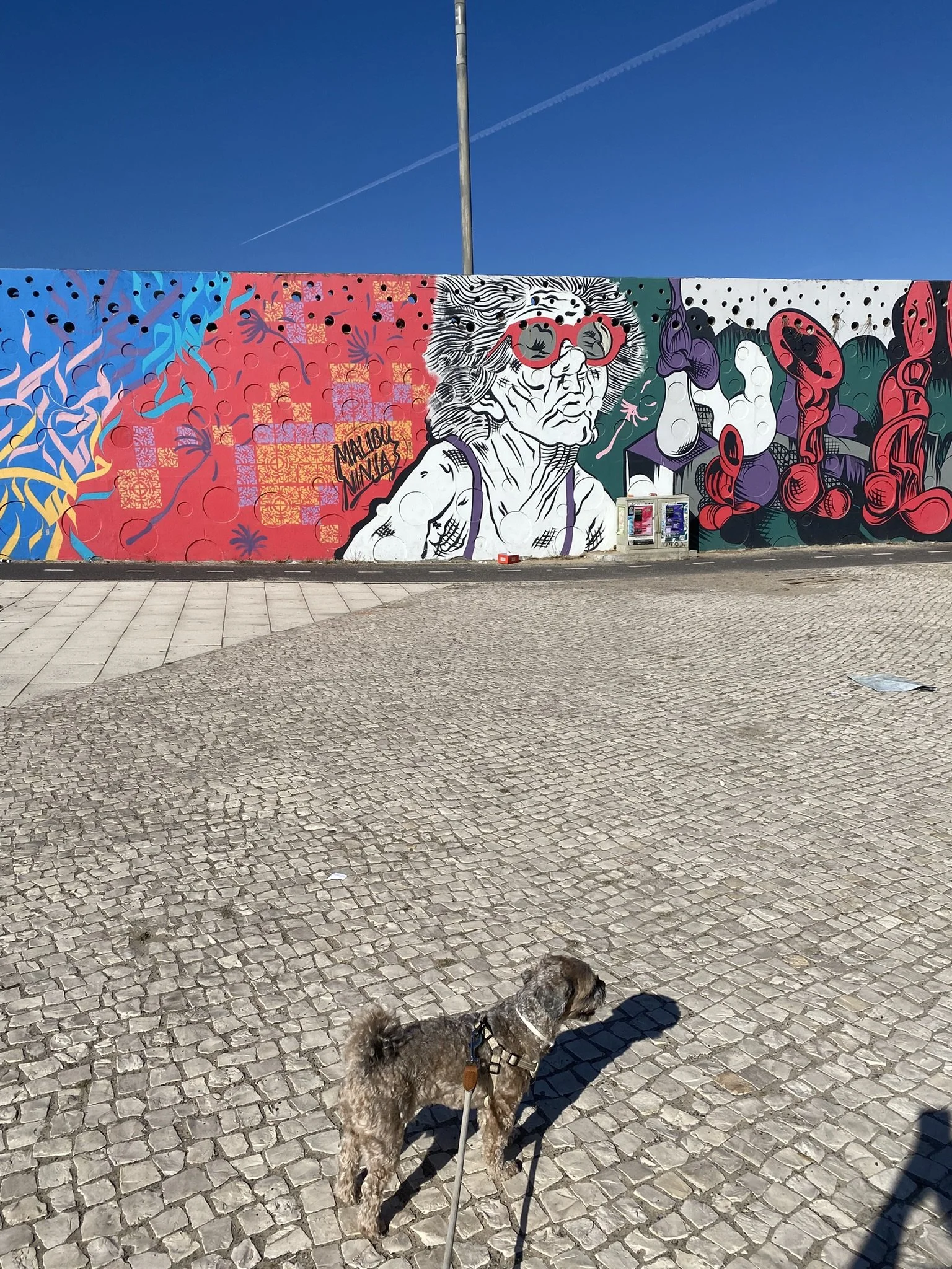 IMG_2979.JPEG
