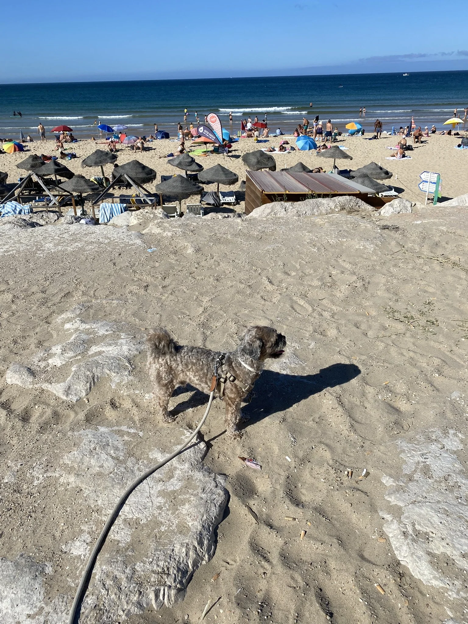 IMG_3013.JPEG