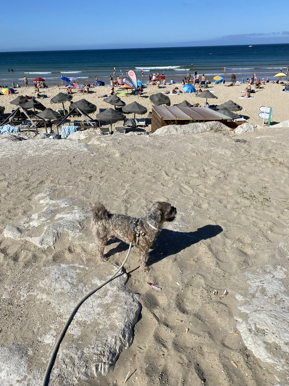 IMG_3013.JPEG