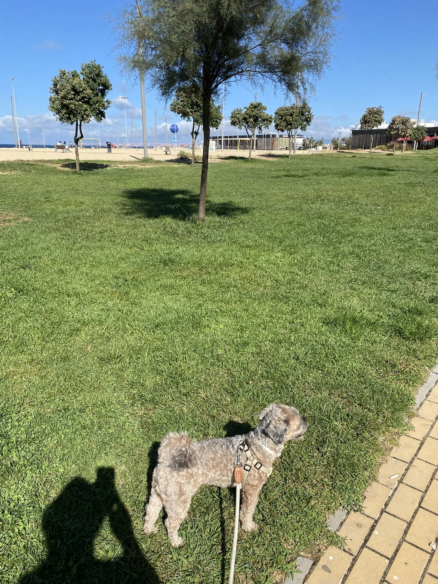IMG_3026.JPEG