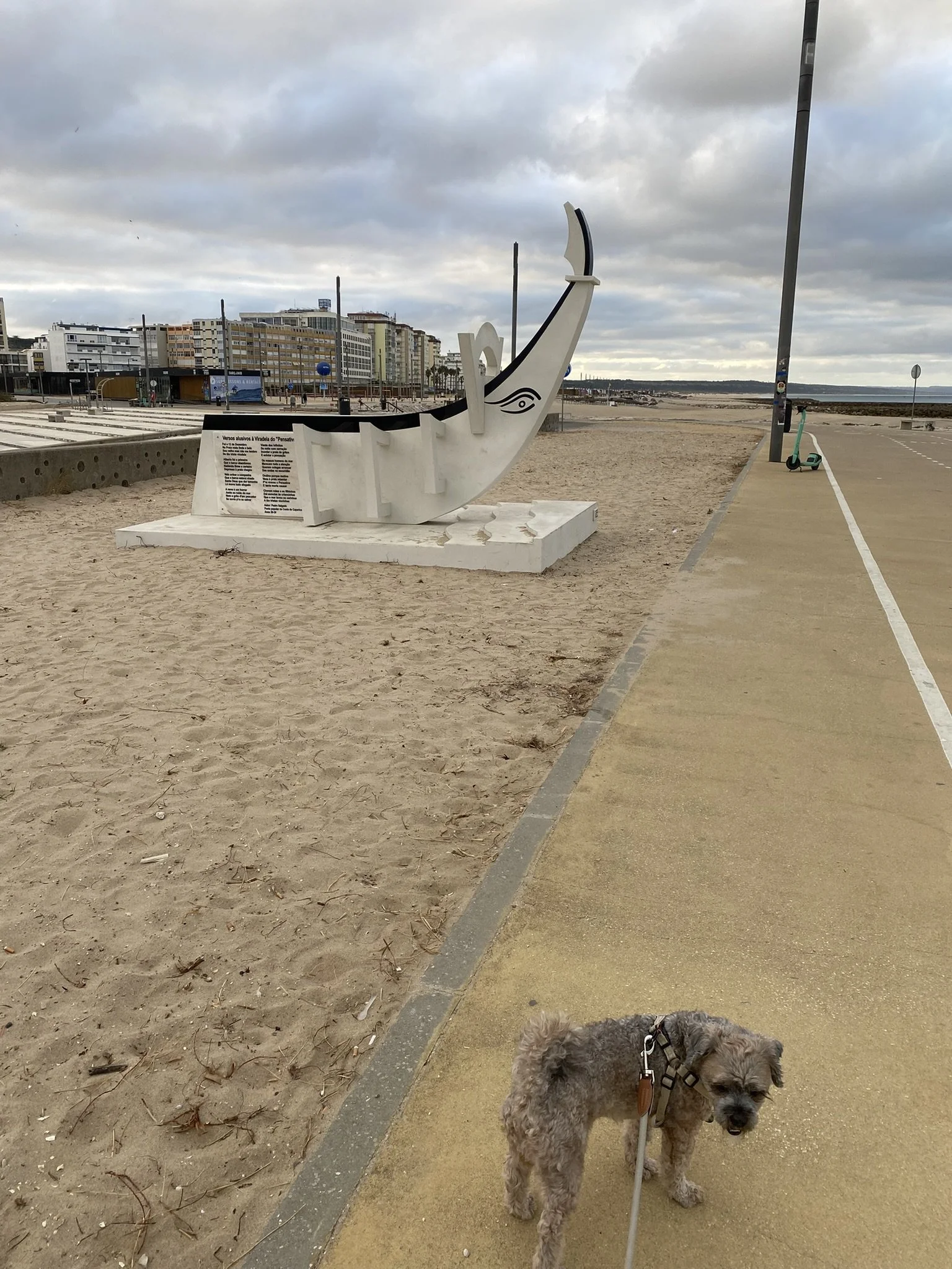 IMG_3063.JPEG
