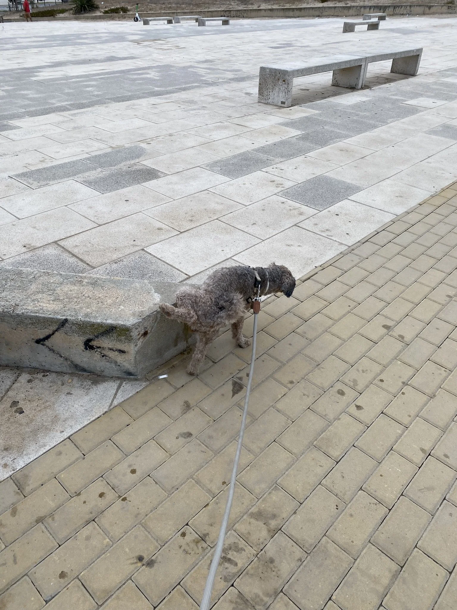 IMG_3065.JPEG