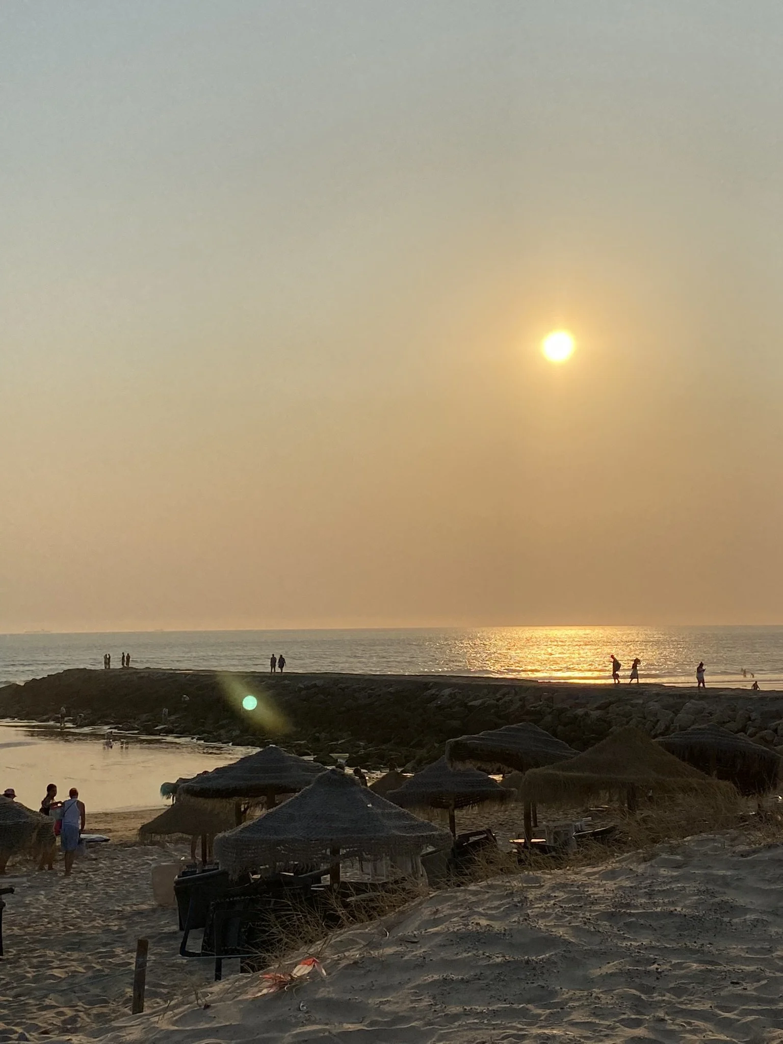 IMG_3187.JPEG