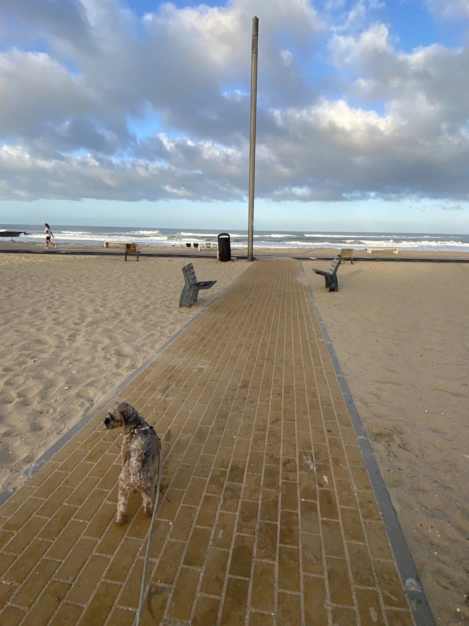 IMG_3349.JPEG