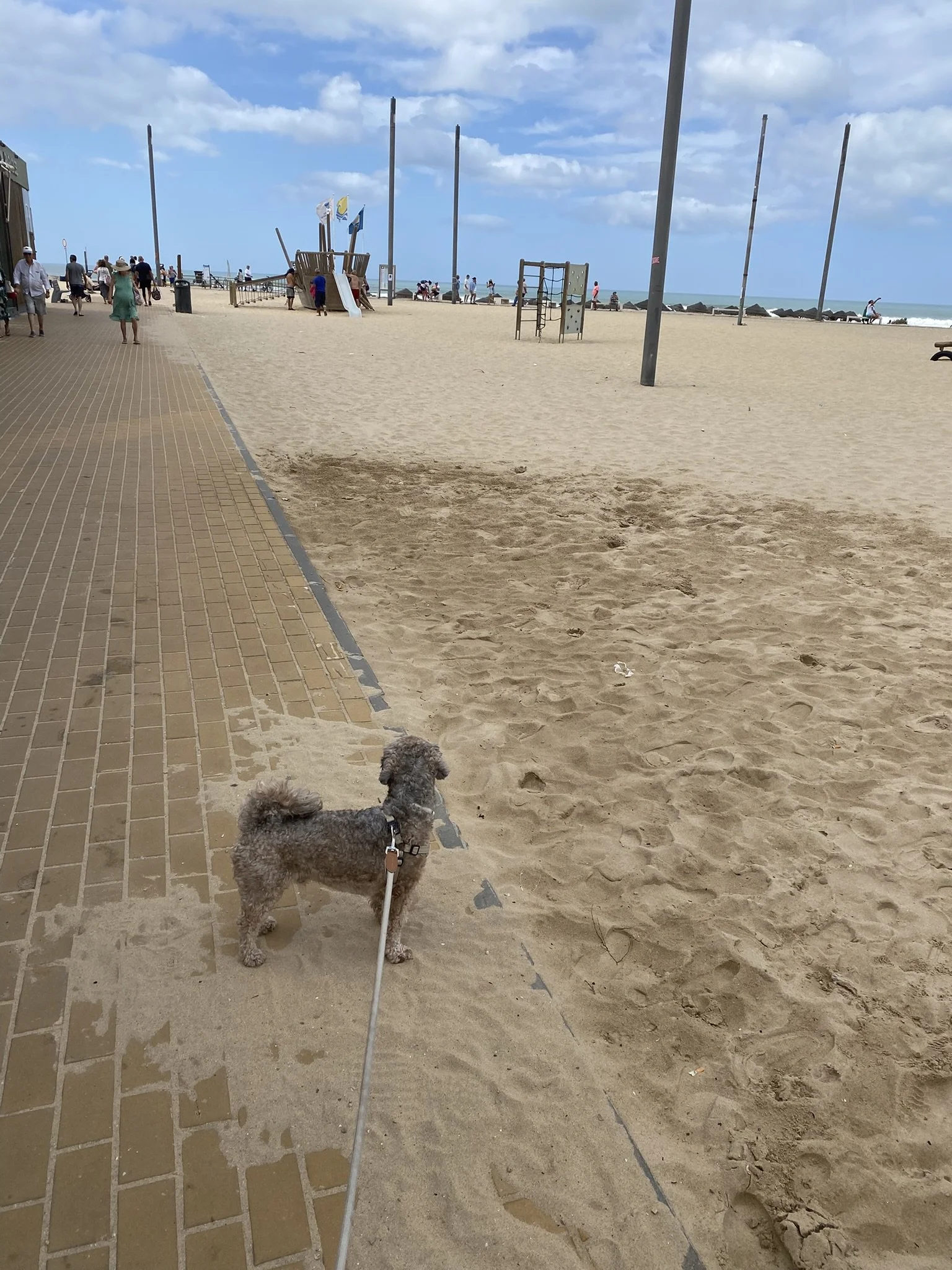 IMG_3356.JPEG
