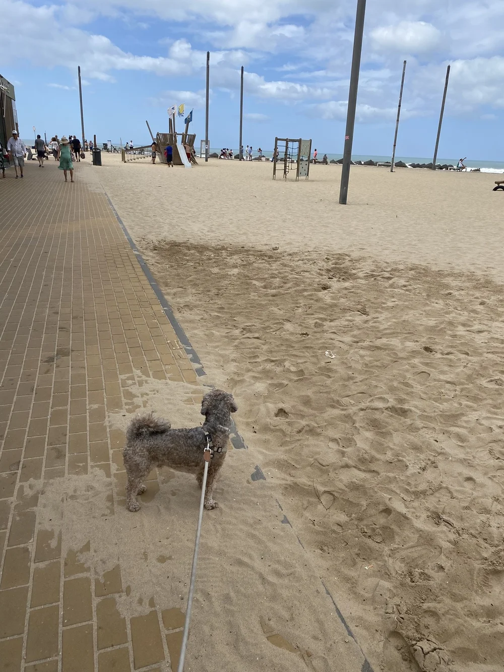 IMG_3356.JPEG