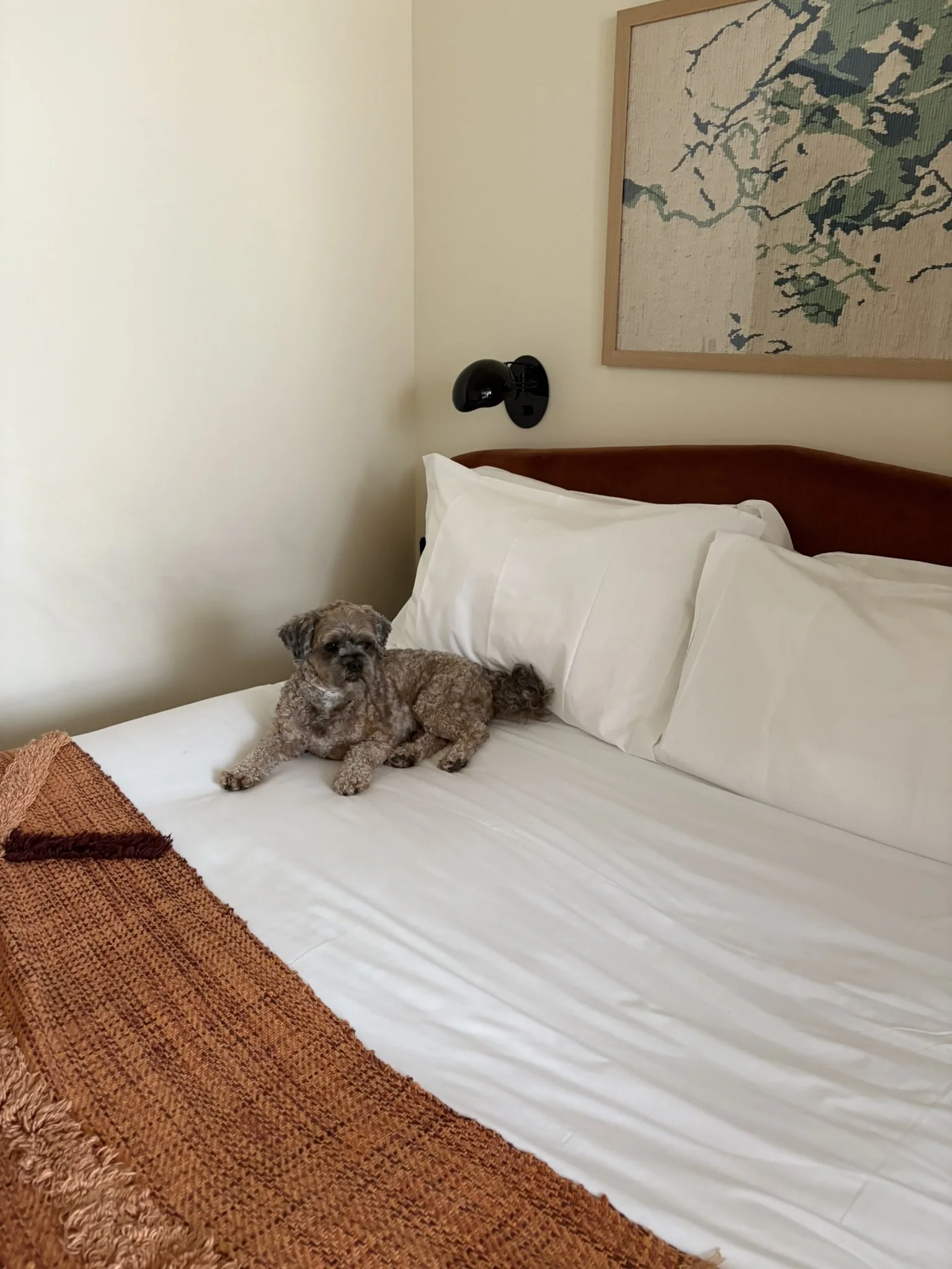 IMG_0047.JPEG