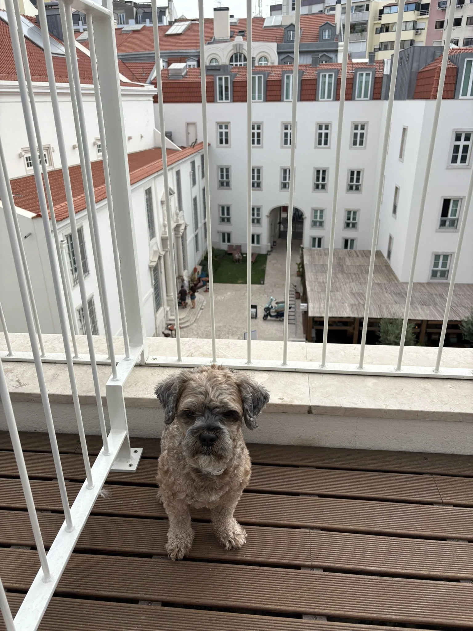 IMG_0093.JPEG