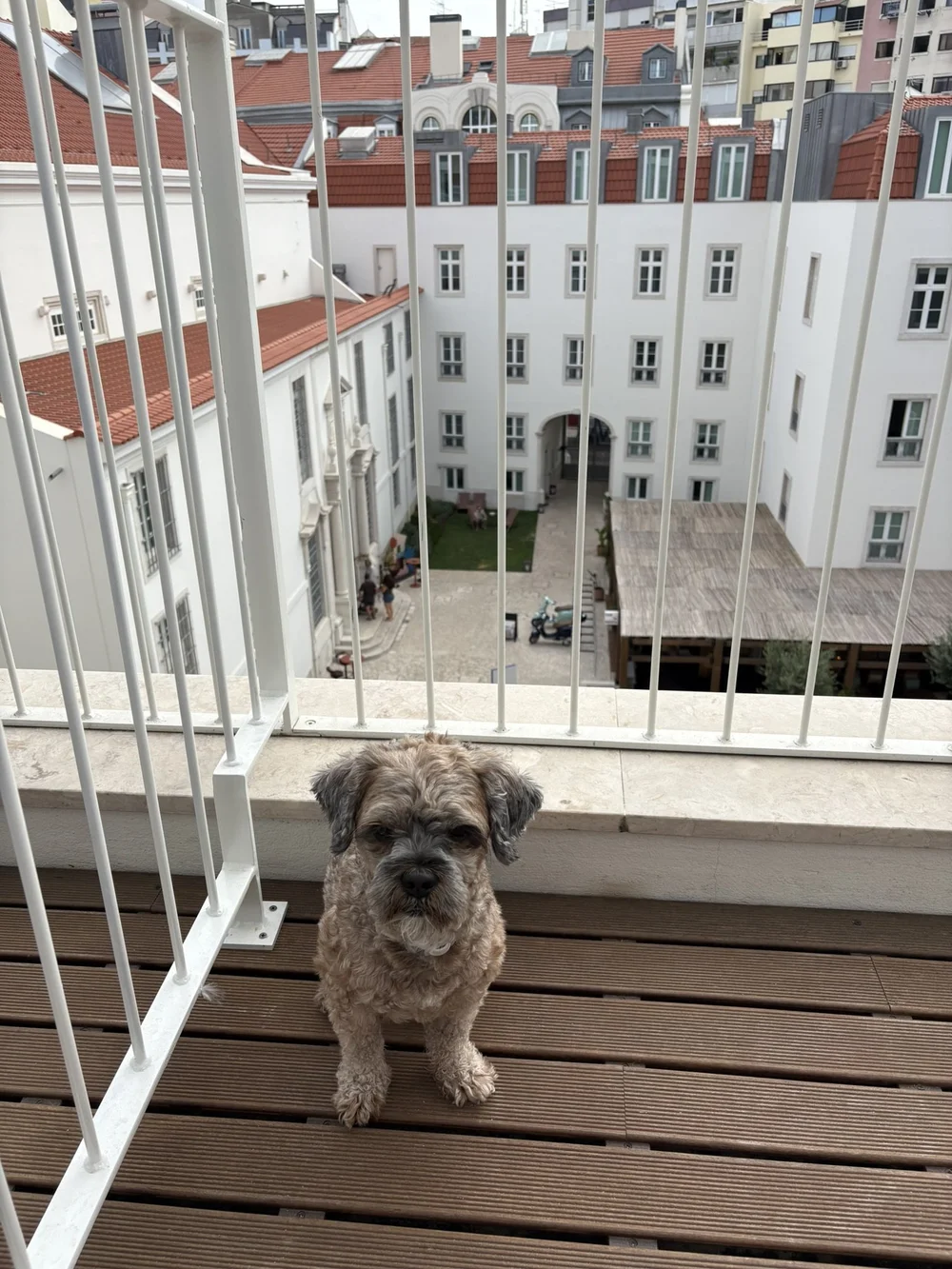 IMG_0093.JPEG