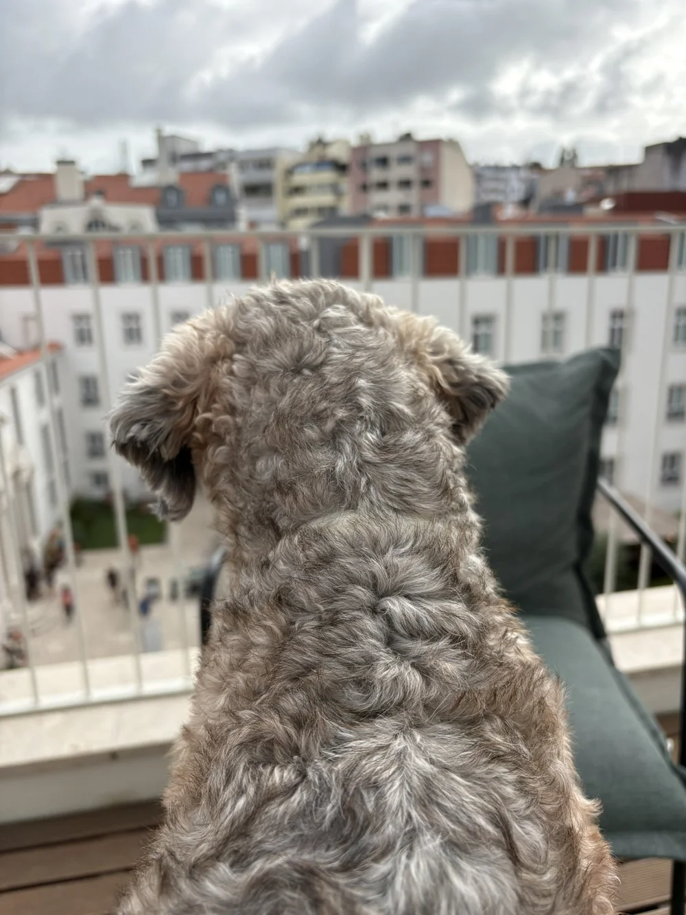 IMG_0094.JPEG