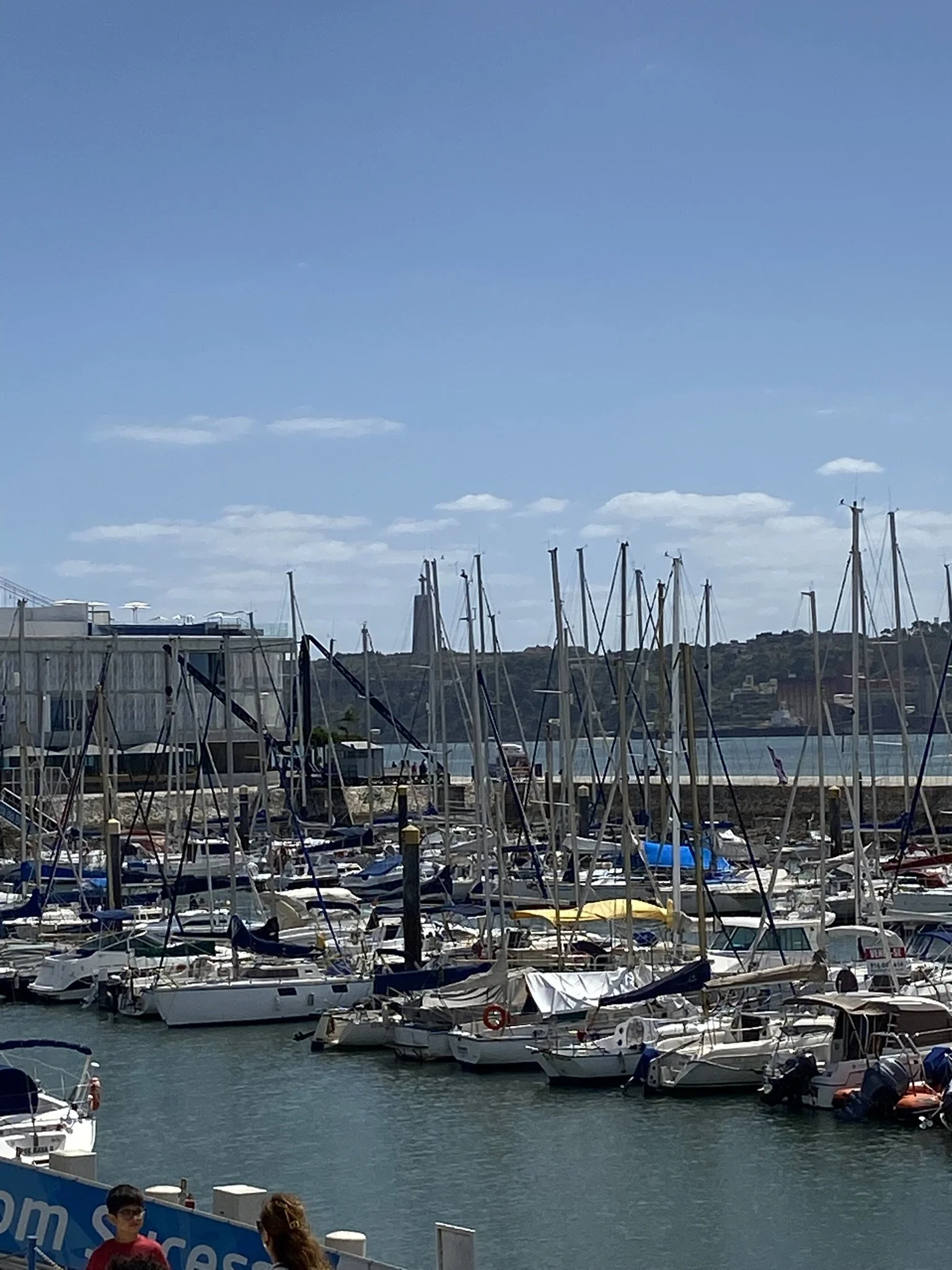 IMG_3514.JPEG