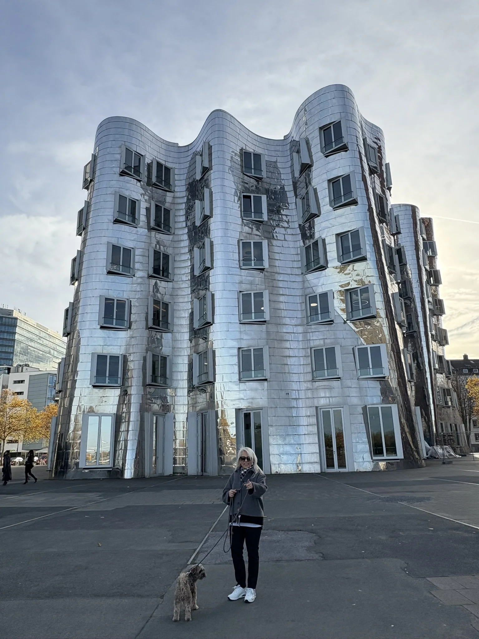 Das Tagebuch von Shipoo Luca 🐾- Reise nach Düsseldorf