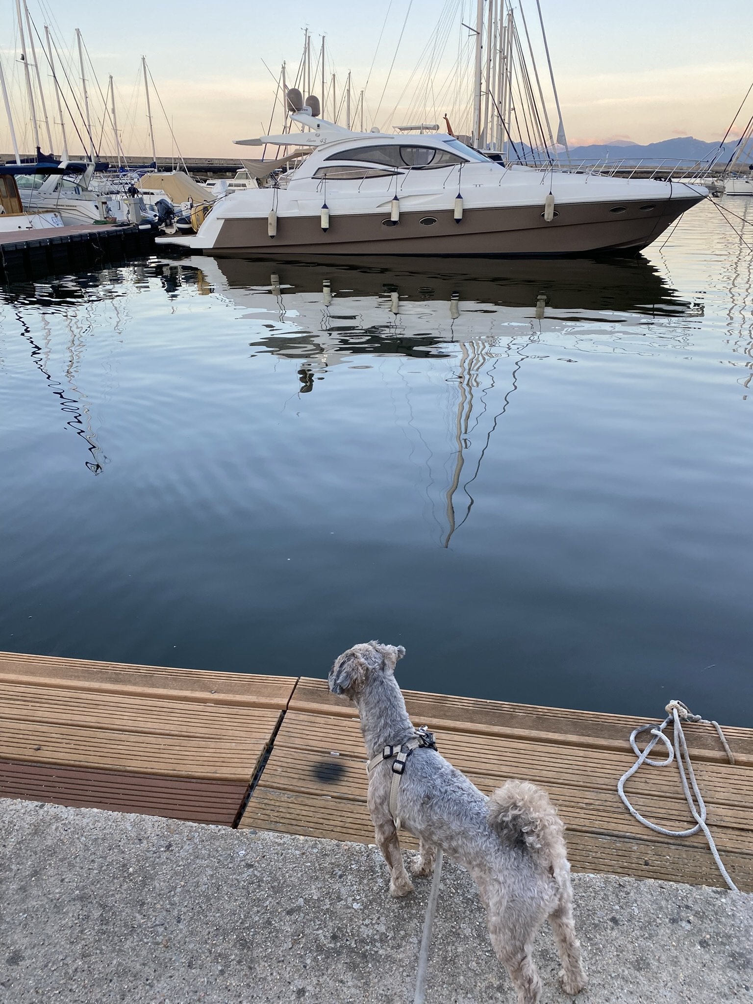 IMG_5672.JPEG