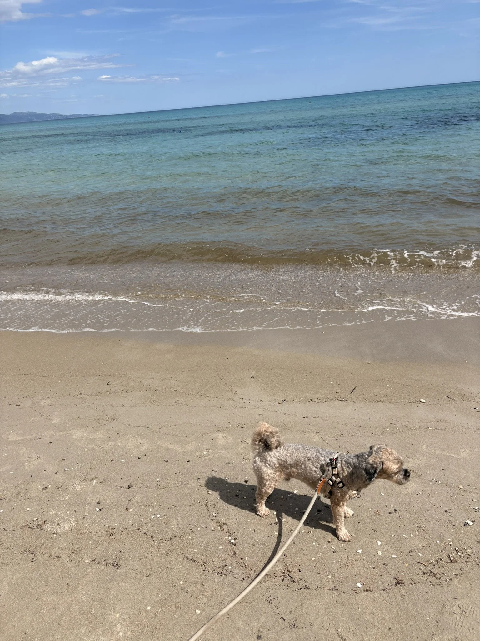 IMG_0596.JPEG