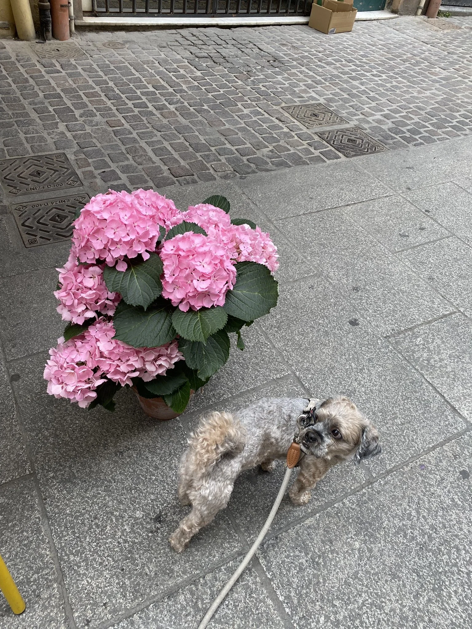 IMG_5710.JPEG