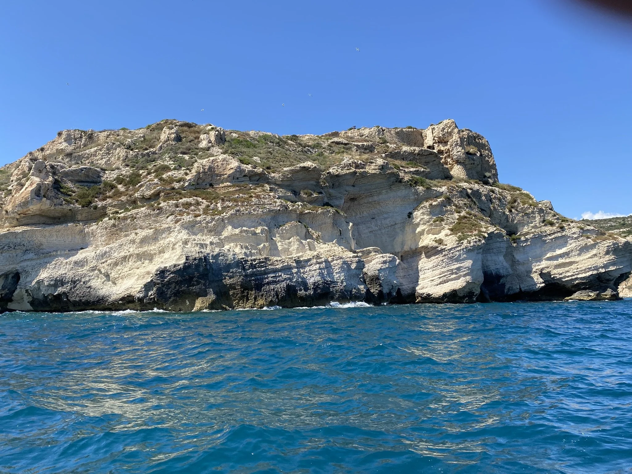 IMG_5866.JPEG