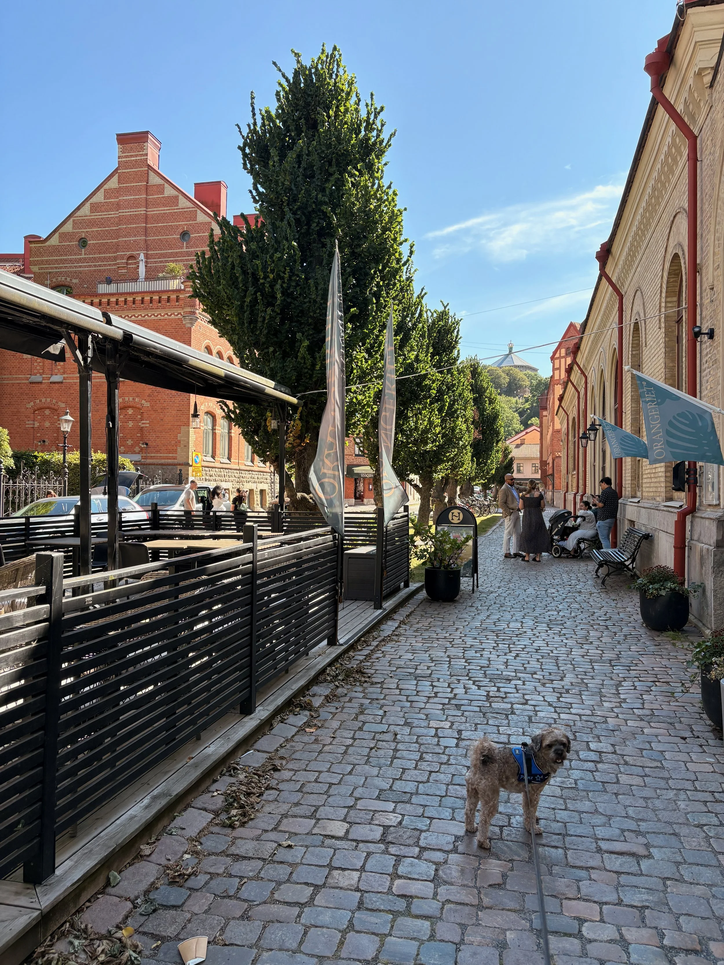 IMG_0925.jpeg