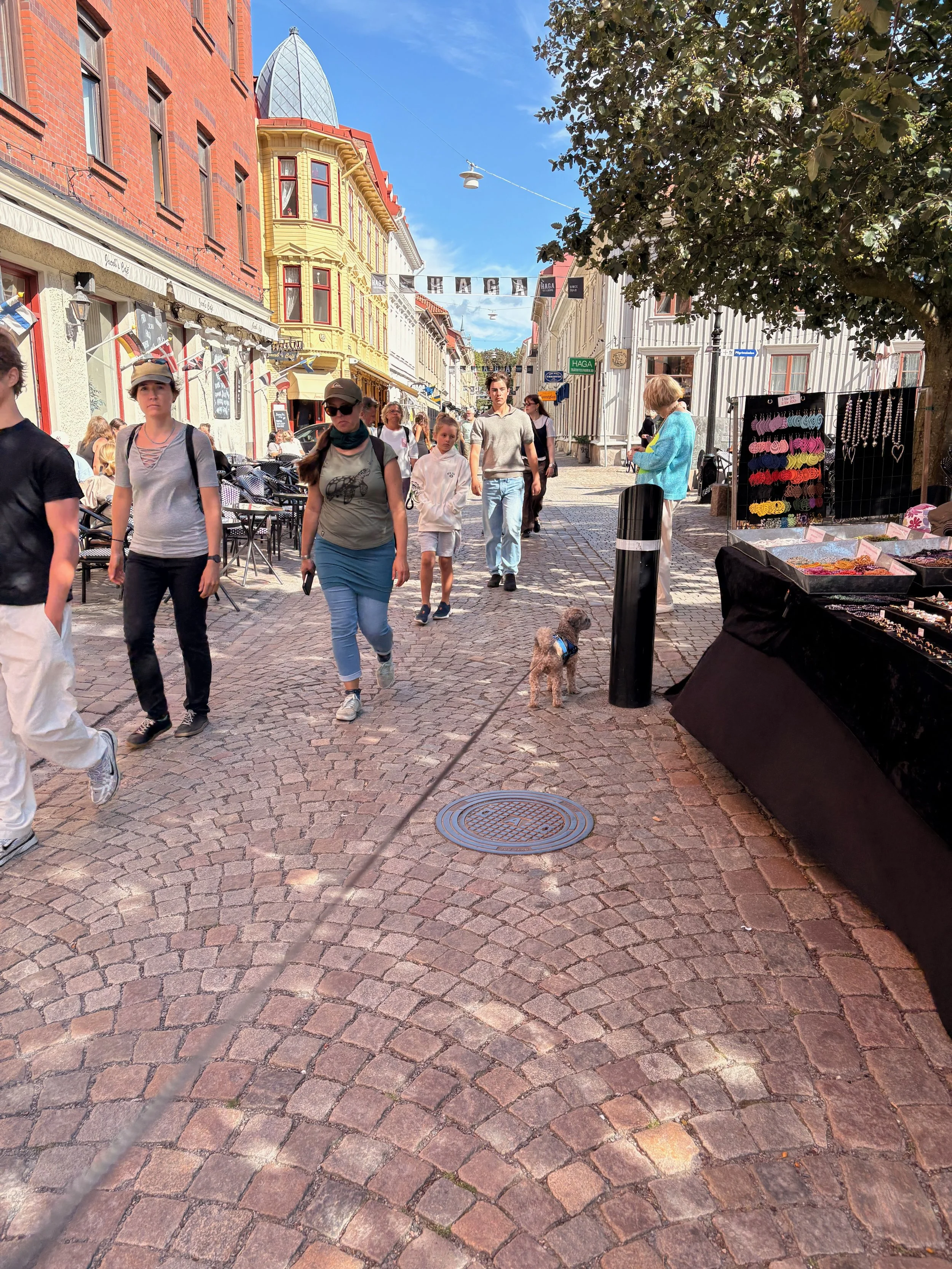 IMG_0936.jpeg