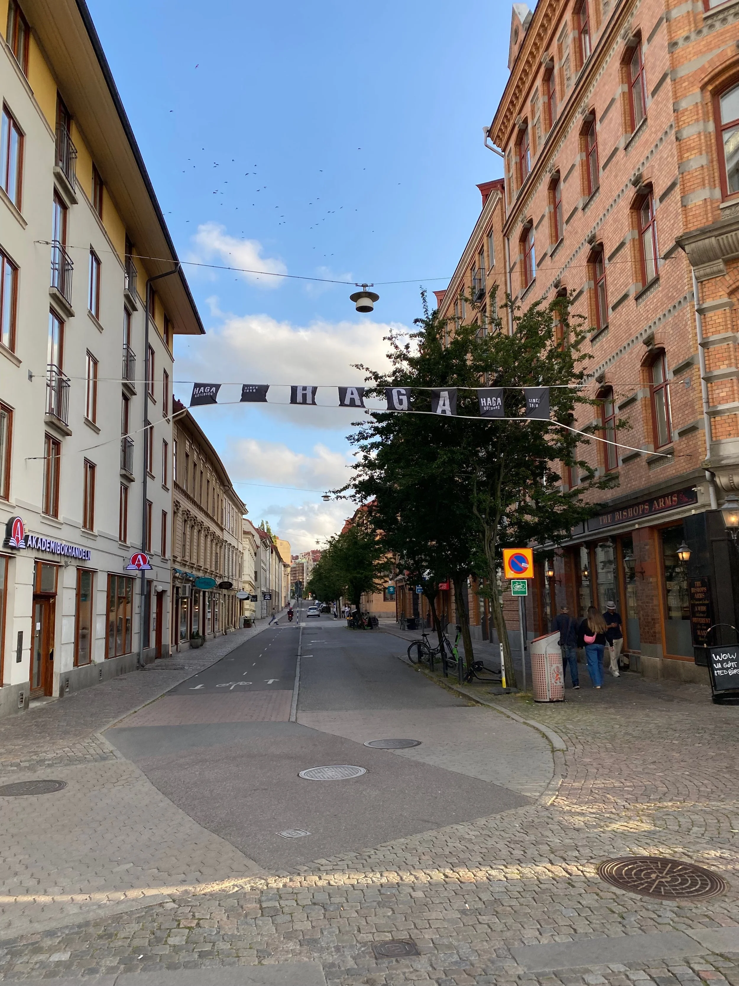IMG_6356.jpeg