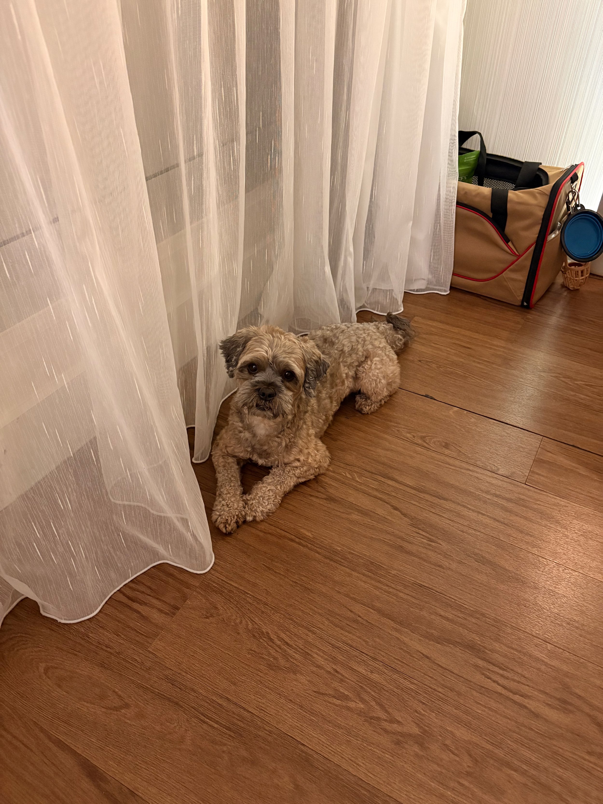IMG_1166.jpeg