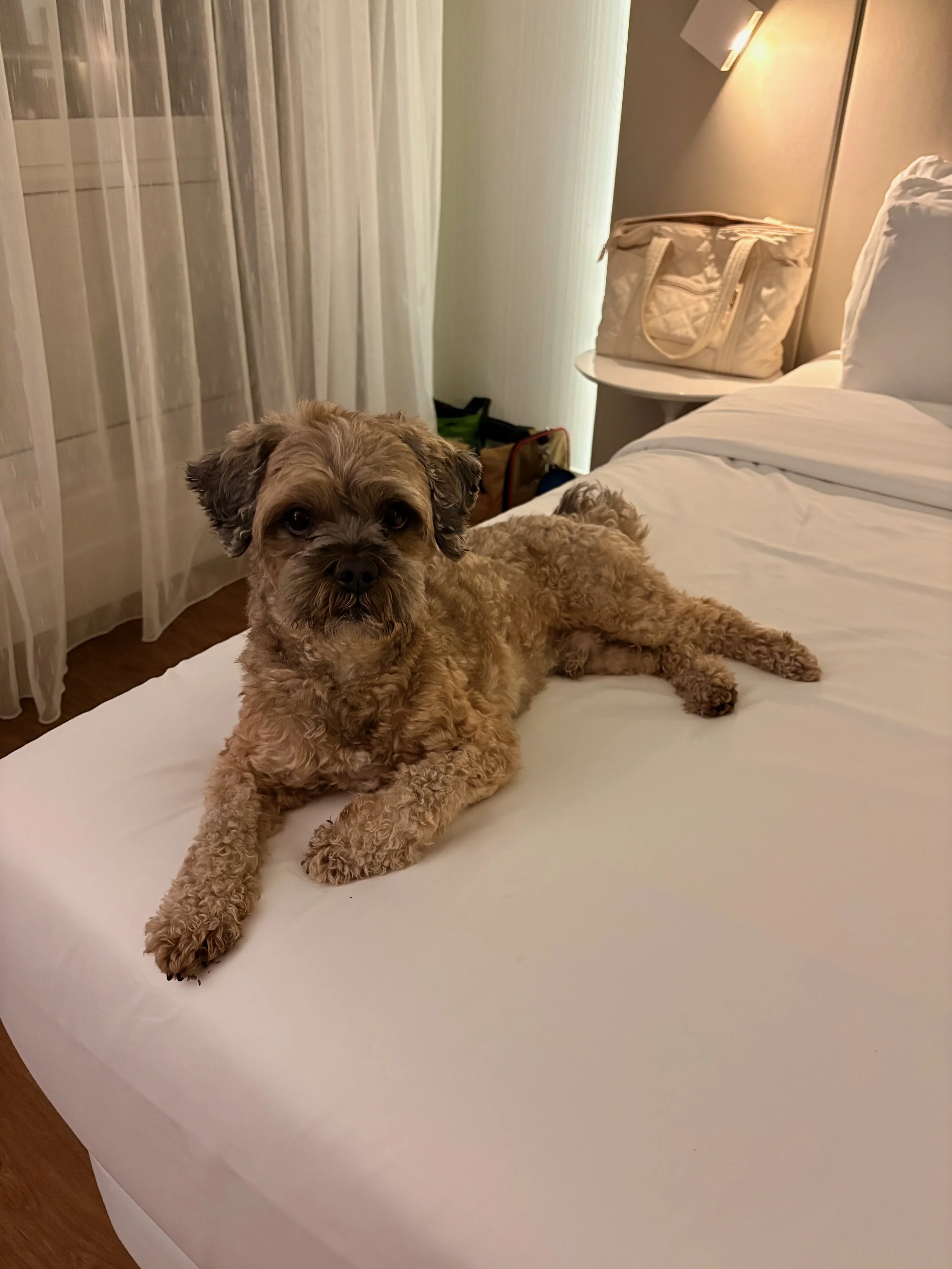 IMG_1167.jpeg