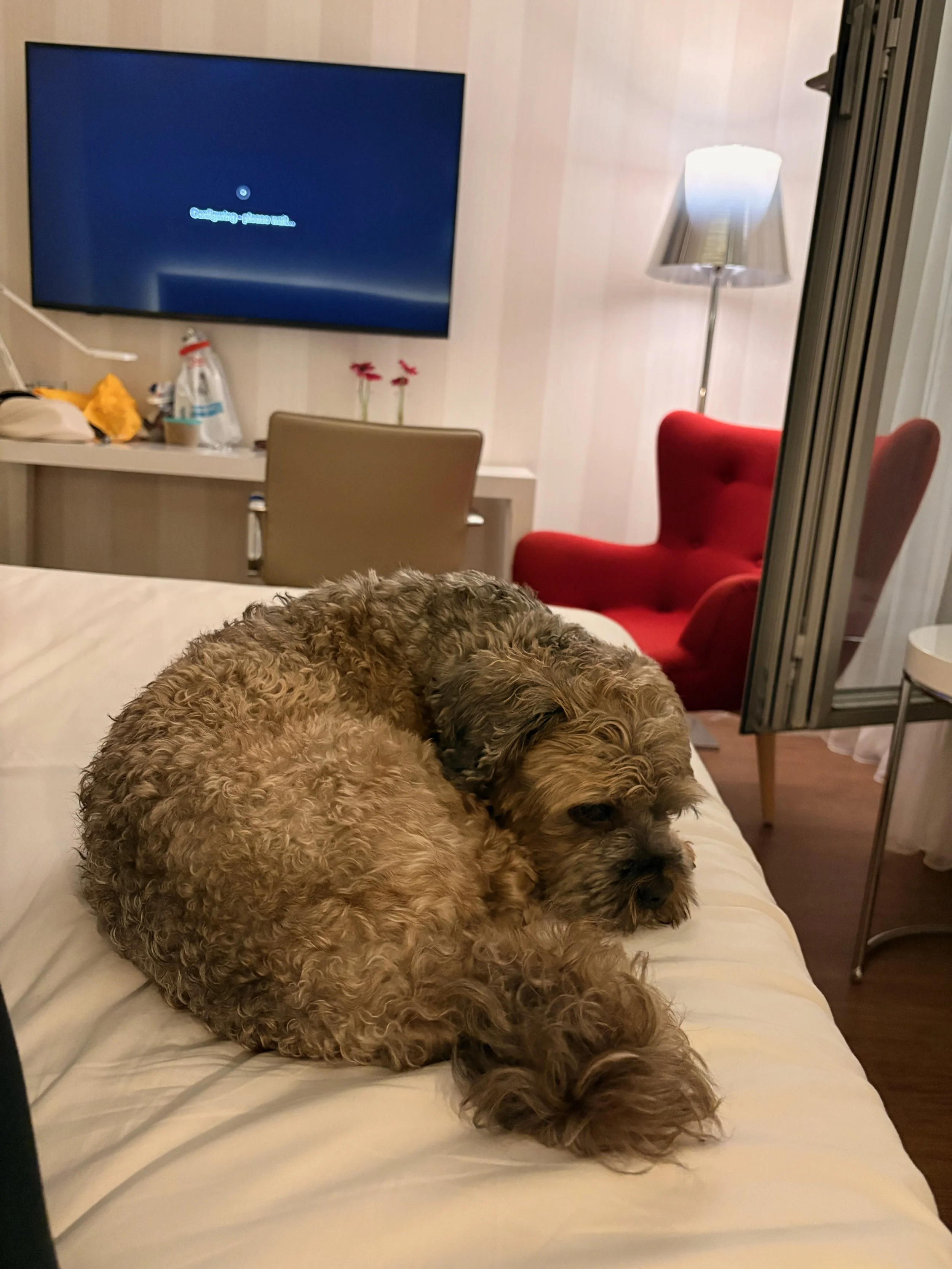 IMG_1360.jpeg