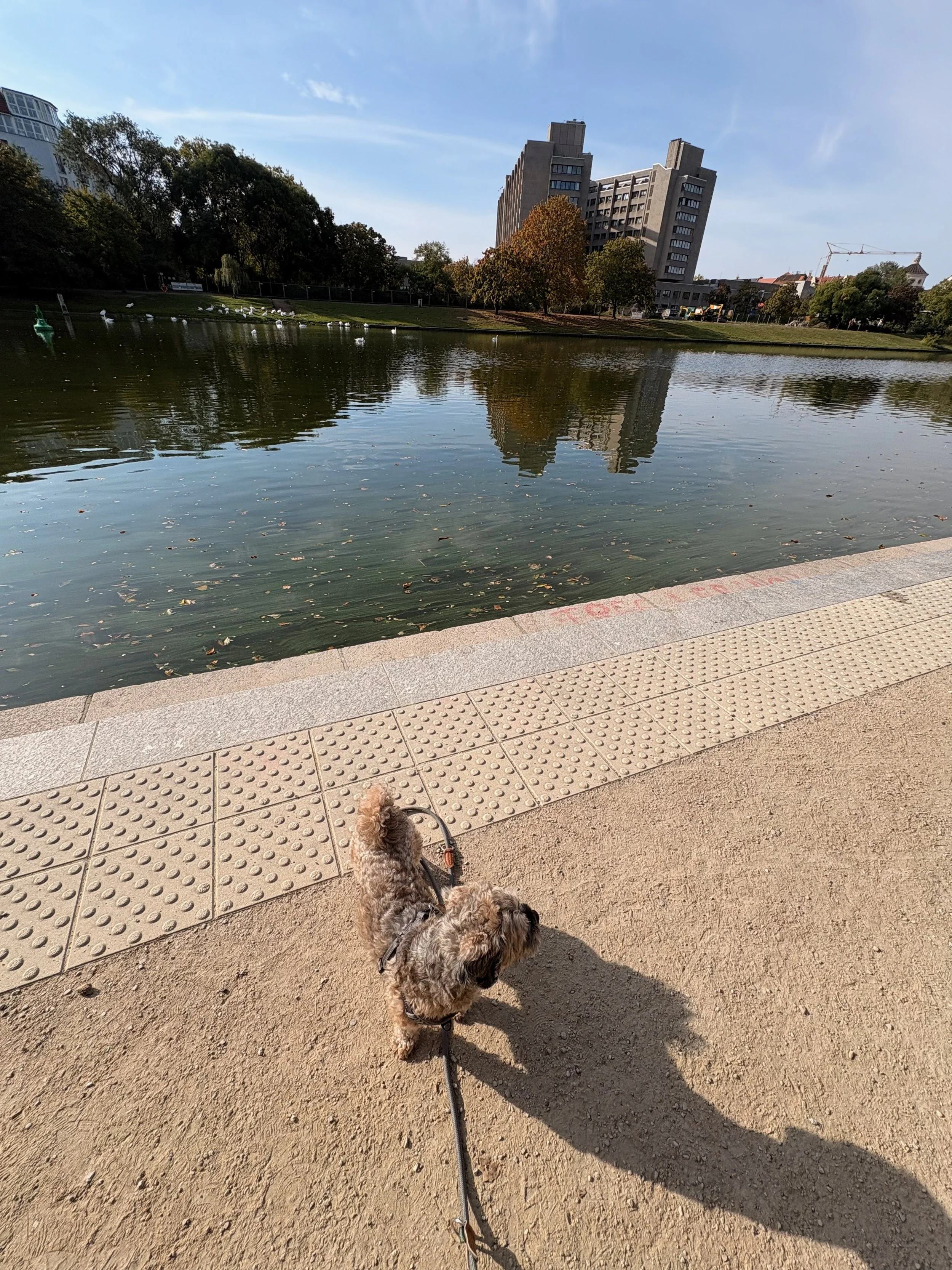 IMG_1329.jpeg