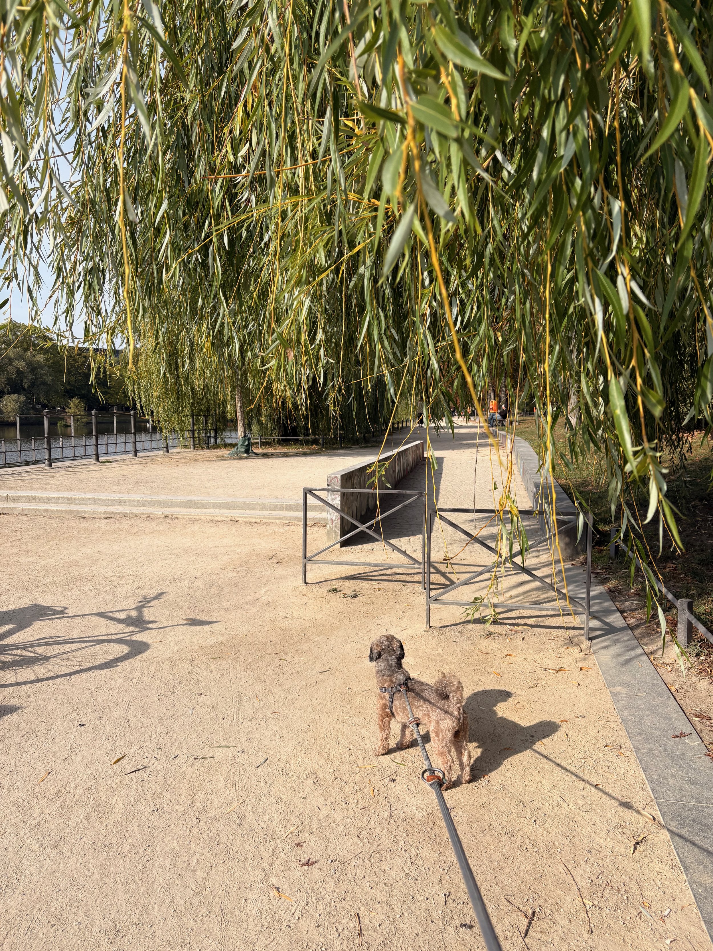 IMG_1330.jpeg